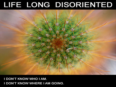 Life Long Disoriented